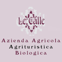 Le Calle di Catocci