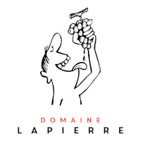 Domaine Mathieu & Camille Lapierre