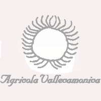 Vallecamonica