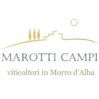 Marotti Campi