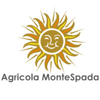 Montespada