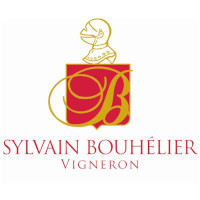 Sylvain Bouhelier