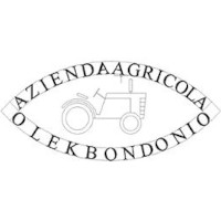Olek Bondonio