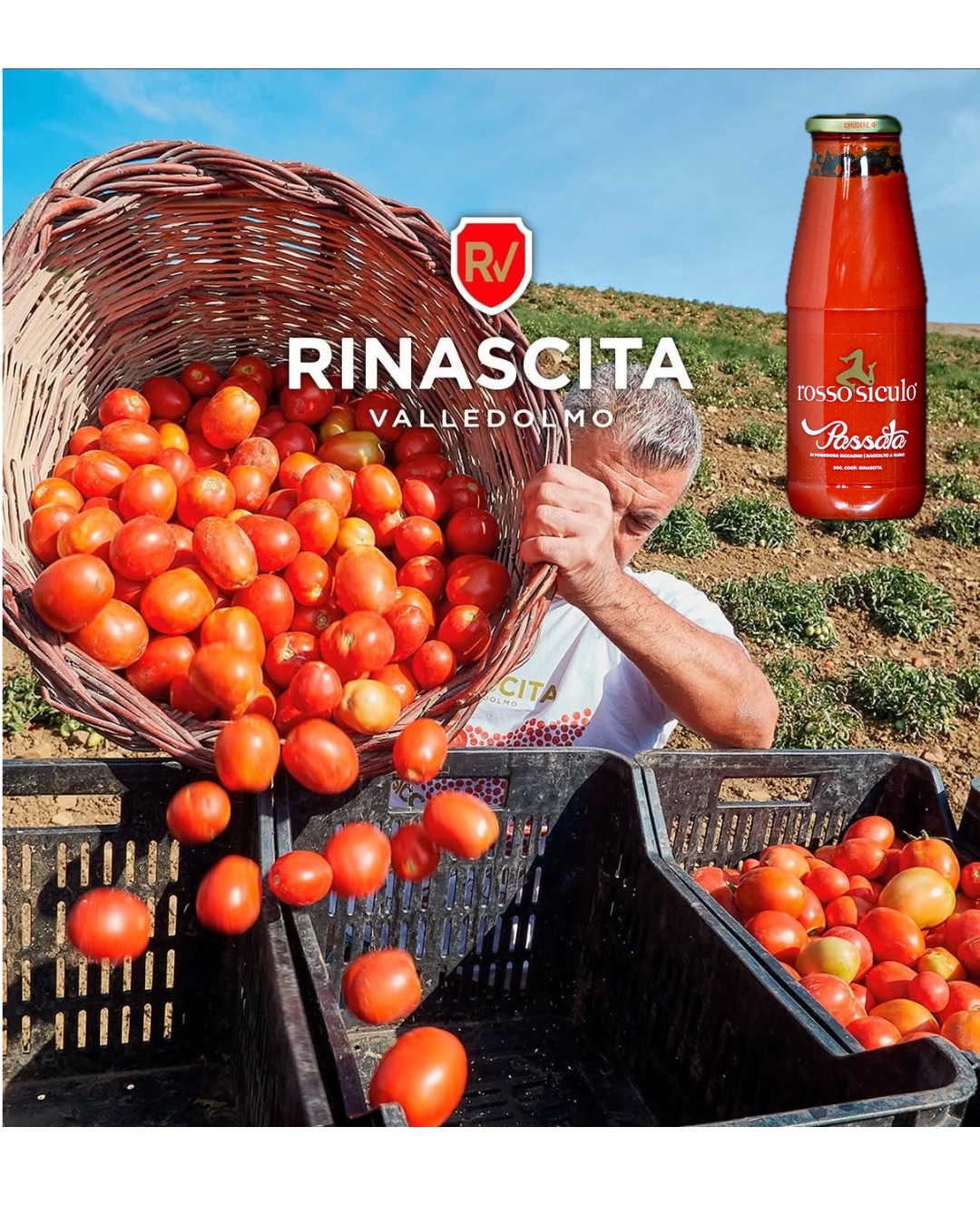 De Siccagno-tomaat, een schat die voortkomt uit noodzaak